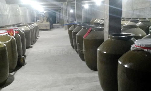 用大型釀酒設(shè)備創(chuàng)業(yè)1年,申泉酒業(yè)成功拿到酒類(lèi)食品生產(chǎn)許可證